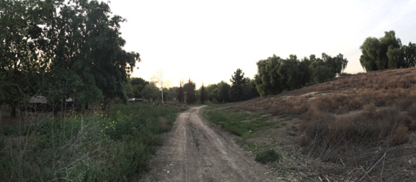 Location Image