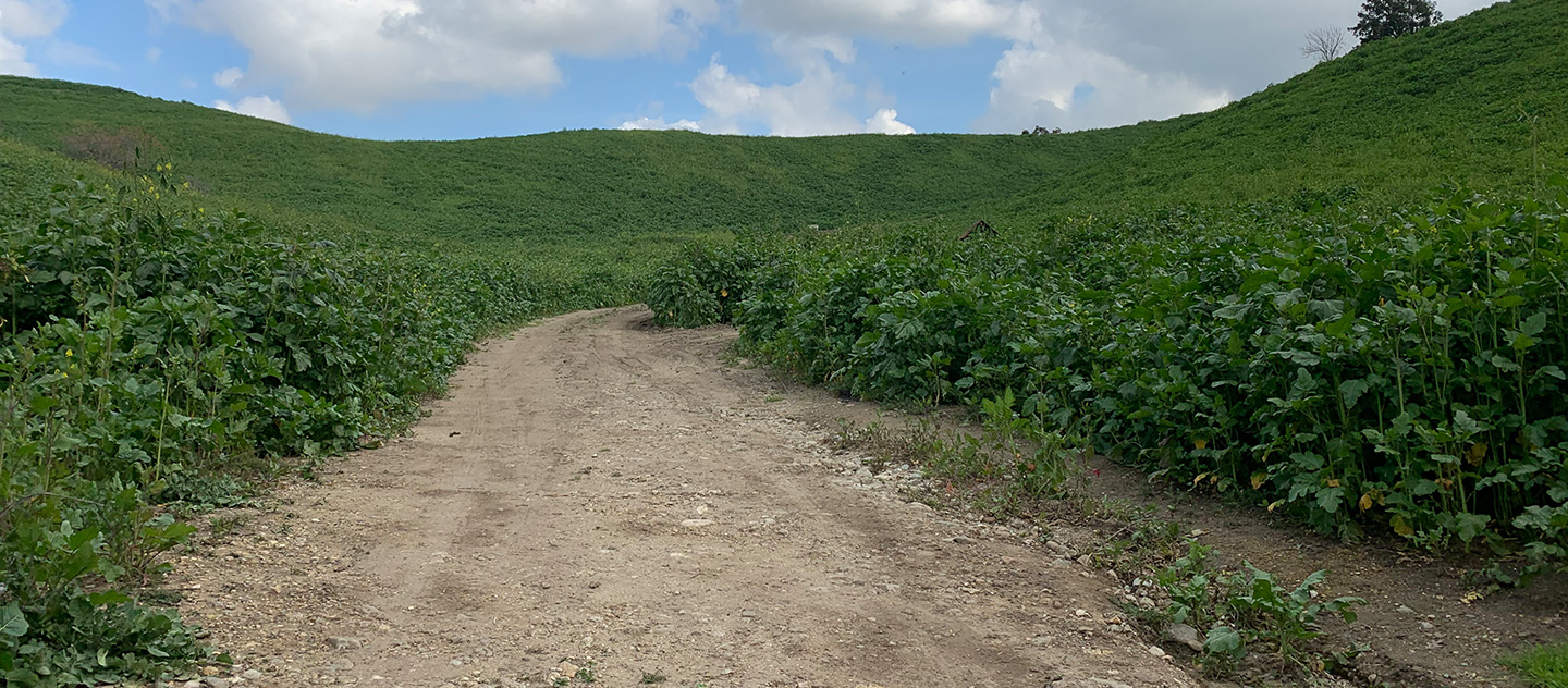Location Image